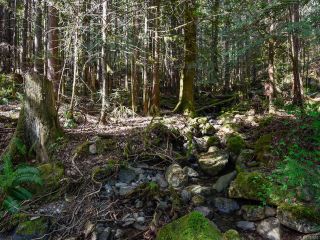 Photo 16: 5999 FORBIDDEN PLATEAU ROAD in COURTENAY: CV Courtenay West House for sale (Comox Valley)  : MLS®# 787510