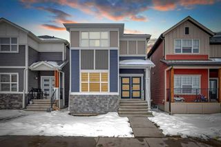 Photo 1: 79 Homestead Park NE in Calgary: C-686 Detached for sale : MLS®# A2119930