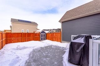 Photo 37: 262 Masters Row SE in Calgary: Mahogany Detached for sale : MLS®# A2016342