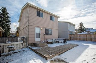 Photo 37: 23 Erin Woods Place SE in Calgary: Erin Woods Detached for sale : MLS®# A1043975