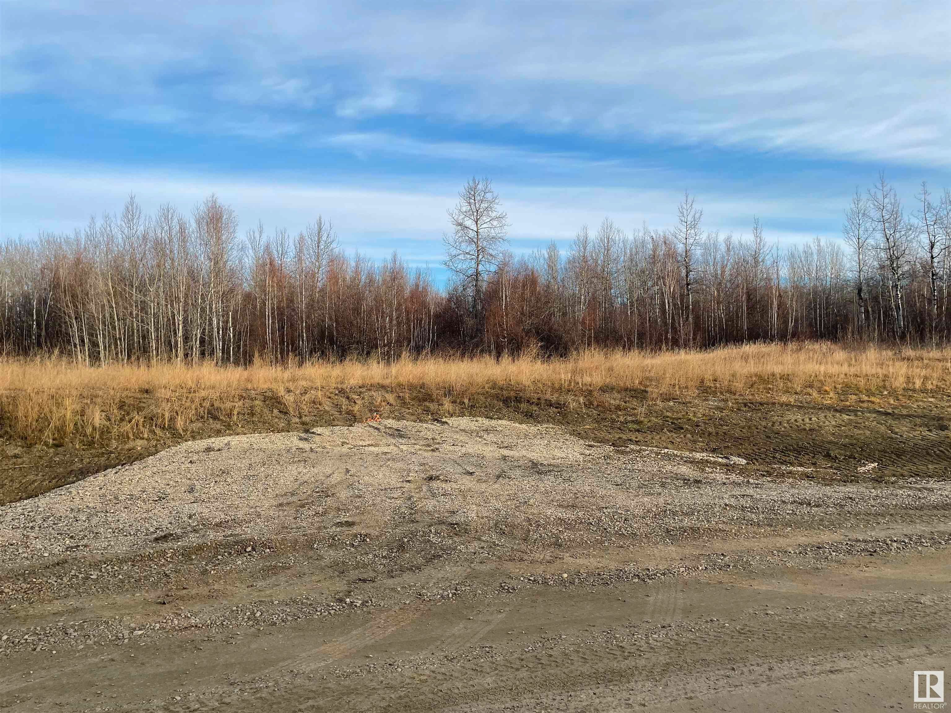 Main Photo: Twp 484 RR 60: Rural Brazeau County Vacant Lot/Land for sale : MLS®# E4323598