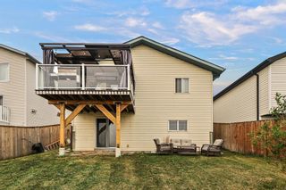 Photo 19: 199 Applestone Park SE in Calgary: Applewood Park Detached for sale : MLS®# A2050171