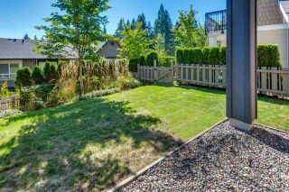 Photo 19: 37 1305 SOBALL Street in Coquitlam: Burke Mountain Townhouse for sale in "Tyneridge North" : MLS®# R2110247