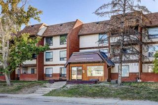 Photo 1: 310 1712 38 Street SE in Calgary: Forest Lawn Apartment for sale : MLS®# A2128746