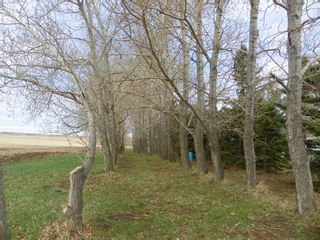 Photo 24: 325058 21 Hiway Highway N: Rural Kneehill County Detached for sale : MLS®# A2041057