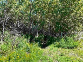 Photo 7: 4610 WINGFIELD Point in Edmonton: Zone 56 Vacant Lot/Land for sale : MLS®# E4348306