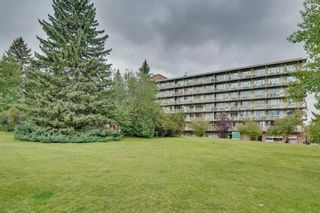 Photo 28: 503 3316 RIDEAU Place SW in Calgary: Rideau Park Apartment for sale : MLS®# C4236260