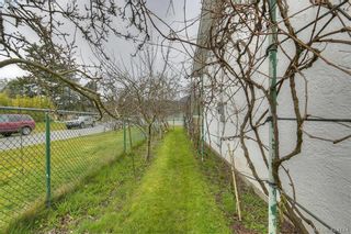 Photo 27: 4383 Majestic Dr in VICTORIA: SE Gordon Head House for sale (Saanich East)  : MLS®# 837692