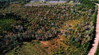 Photo 2: Lot Chisholm Road in Onslow Mountain: 104-Truro / Bible Hill Vacant Land for sale (Northern Region)  : MLS®# 202320947