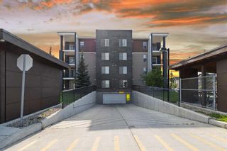 Main Photo: 312 7110 80 Avenue NE in Calgary: Saddle Ridge Apartment for sale : MLS®# A2107020