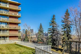 Photo 6: 207 3316 Rideau Place SW in Calgary: Rideau Park Apartment for sale : MLS®# A2090286