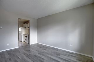 Photo 13: 18 12 TEMPLEWOOD Drive NE in Calgary: Temple Row/Townhouse for sale : MLS®# A1021832