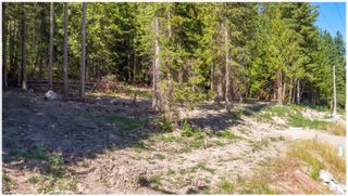 Photo 64: PLA 6810 Northeast 46 Street in Salmon Arm: Canoe Vacant Land for sale : MLS®# 10179387