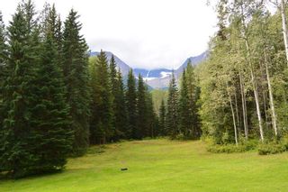 Photo 28: 6793 KROEKER Road in Smithers: Smithers - Rural Manufactured Home for sale in "Glacier View Estates" (Smithers And Area (Zone 54))  : MLS®# R2495709