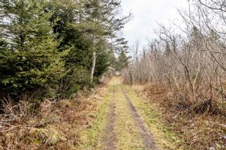 Photo 16: Baxters Harbour Road in Baxters Harbour: Kings County Residential for sale (Annapolis Valley)  : MLS®# 202400893