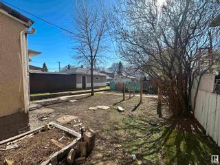 Photo 5: 11548 67 Street in Edmonton: Zone 09 Vacant Lot/Land for sale : MLS®# E4386885
