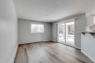 Photo 10: 4101 4975 130 Avenue SE in Calgary: McKenzie Towne Apartment for sale : MLS®# A2044565