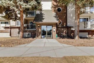 Photo 1: 109 110 20 Avenue NE in Calgary: Tuxedo Park Apartment for sale : MLS®# A2122096
