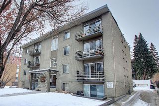 Photo 2: 303 215 25 Avenue SW in Calgary: Mission Apartment for sale : MLS®# A1063932