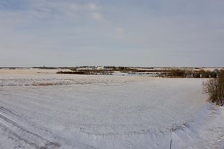 Photo 12: SE 34-45-19-W4: Rural Camrose County Residential Land for sale : MLS®# A2013938