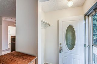 Photo 7: 119 34A Street NW in Calgary: Parkdale Detached for sale : MLS®# A2052692