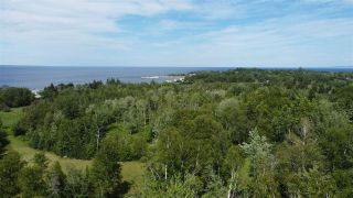 Photo 2: Lot 7 Sinclair Road in Chance Harbour: 108-Rural Pictou County Vacant Land for sale (Northern Region)  : MLS®# 202013188