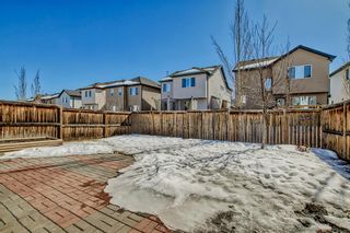 Photo 38: 31 Everwoods Park SW in Calgary: Evergreen Detached for sale : MLS®# A2034454