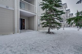 Photo 25: 2119 6224 17 Avenue SE in Calgary: Red Carpet Apartment for sale : MLS®# A2011902