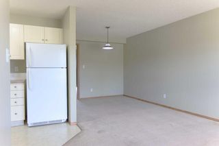 Photo 9: 54 20 Jacobs Close: Red Deer Apartment for sale : MLS®# A2139179