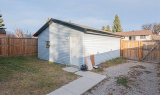 Photo 26: 3402 64 Street NE in Calgary: Temple Semi Detached for sale : MLS®# A1161652