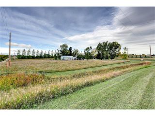 Photo 5: 386141 2 Street E: Rural Foothills M.D. House for sale : MLS®# C4081812