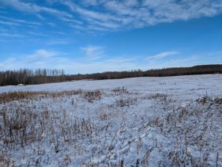 Photo 23: 58221 Range Road 221: Rural Thorhild County Vacant Lot/Land for sale : MLS®# E4340921