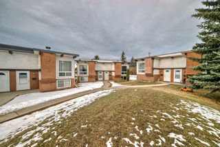 Photo 34: 223 Pinemont Road NE in Calgary: Pineridge Semi Detached (Half Duplex) for sale : MLS®# A2120307