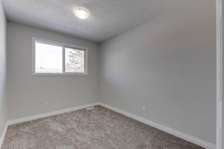 Photo 21: 44 12 Templewood Drive NE in Calgary: Temple Row/Townhouse for sale : MLS®# A1192583