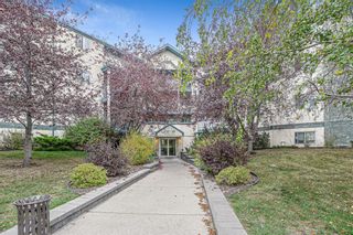 Photo 1: 203 20 Dover Point SE in Calgary: Dover Apartment for sale : MLS®# A1152591