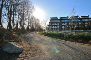 Photo 17: 308 262 SALTER Street in New Westminster: Queensborough Condo for sale in "THE PORTAGE" : MLS®# R2137554