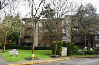 Photo 1: 308 10626 151A Street in Surrey: Guildford Condo for sale in "LINCOLN'S HILL" (North Surrey)  : MLS®# R2159079