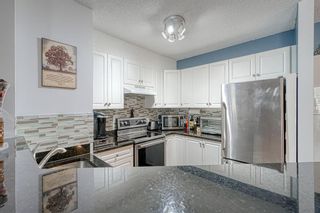 Main Photo: 113 4000 Citadel Meadow Point NW in Calgary: Citadel Apartment for sale : MLS®# A1212302