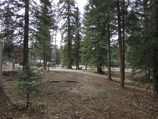 Photo 4: 142 Bergen Springs Estates: Rural Mountain View County Residential Land for sale : MLS®# A1199048