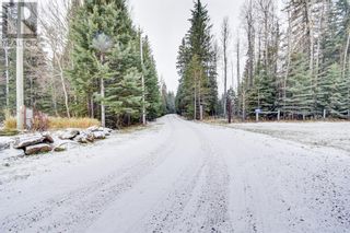 Photo 16: 64061 Township Road 380A in Rural Clearwater County: House for sale : MLS®# A2031801