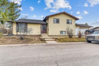 Main Photo: 3 Castledale Place NE in Calgary: Castleridge Detached for sale : MLS®# A1252838