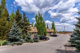 Photo 18: 210 315 50 Avenue SW in Calgary: Windsor Park Apartment for sale : MLS®# A1226010
