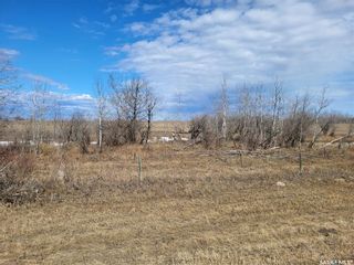 Photo 5: Radisson 158 acres Pastureland (Que) in Great Bend: Farm for sale (Great Bend Rm No. 405)  : MLS®# SK965878