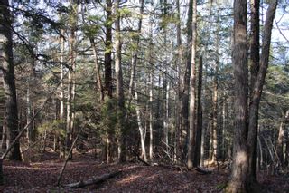 Photo 9: Lot 1 Power Lot Road in Clementsport: Annapolis County Vacant Land for sale (Annapolis Valley)  : MLS®# 202227444
