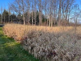 Photo 2: Lots 3 & 4 Brooks Road in Ashmore: Digby County Vacant Land for sale (Annapolis Valley)  : MLS®# 202225766