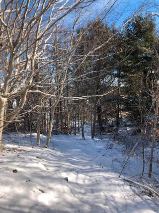 Photo 12: Lot 5 Lakeview Drive in Lake La Rose: Annapolis County Vacant Land for sale (Annapolis Valley)  : MLS®# 202300542