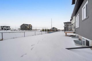Photo 46: 184 sandpiper Landing W: Chestermere Detached for sale : MLS®# A2107808