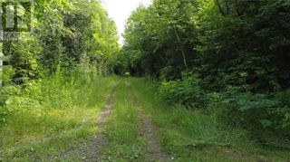 Photo 2: C127 BLANCHARD HILL ROAD in Lombardy: Vacant Land for sale : MLS®# 1302333