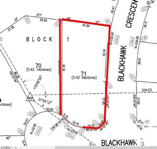 Photo 6: 71 25527 TWP RD 511A: Rural Parkland County Vacant Lot/Land for sale : MLS®# E4235763
