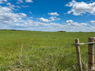 Photo 2: Twp 564 & Range Road 230: Rural Sturgeon County Rural Land/Vacant Lot for sale : MLS®# E4297557